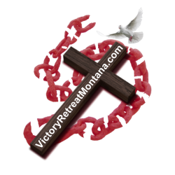 cropped-logo-vrm-updated-aug-21-2018-cross-and-broken-chain-only-cropped-red-brown-website-dove.png